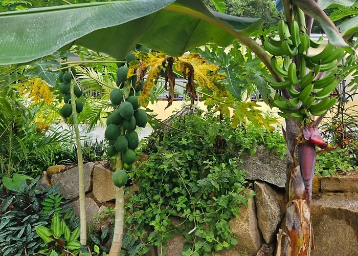 Solea Self Catering Victoria